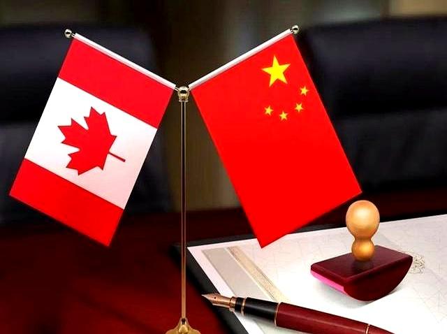 西亚卡姆意外战胜加拿大队，表现优异引爆全场！热度持续攀升(fgo卡姆兰之战友情池有吗)